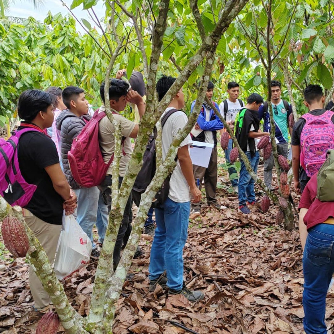 Plantaciones Sostenibles Chococuri